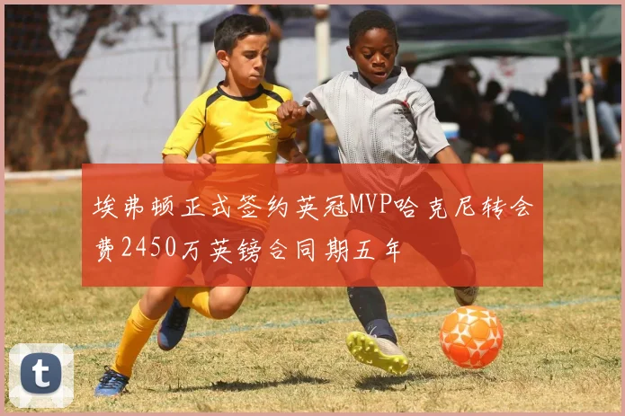 埃弗顿正式签约英冠MVP哈克尼转会费2450万英镑合同期五年