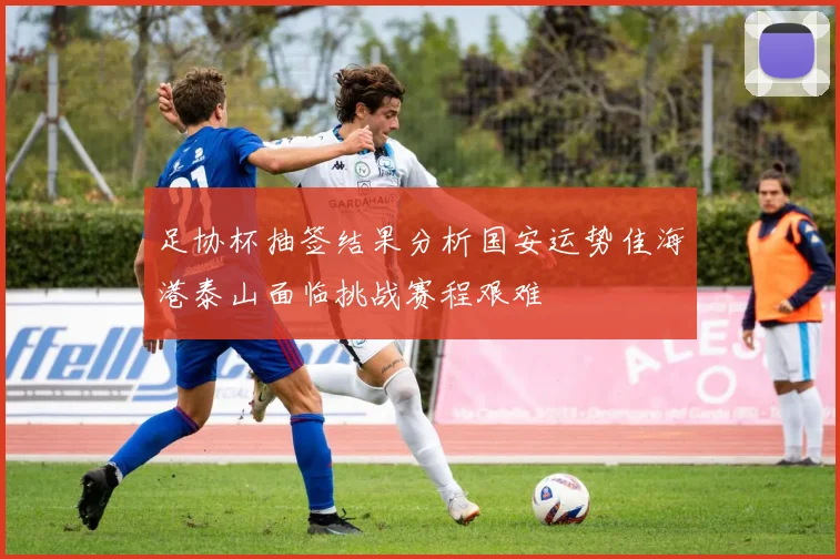 足协杯抽签结果分析国安运势佳海港泰山面临挑战赛程艰难